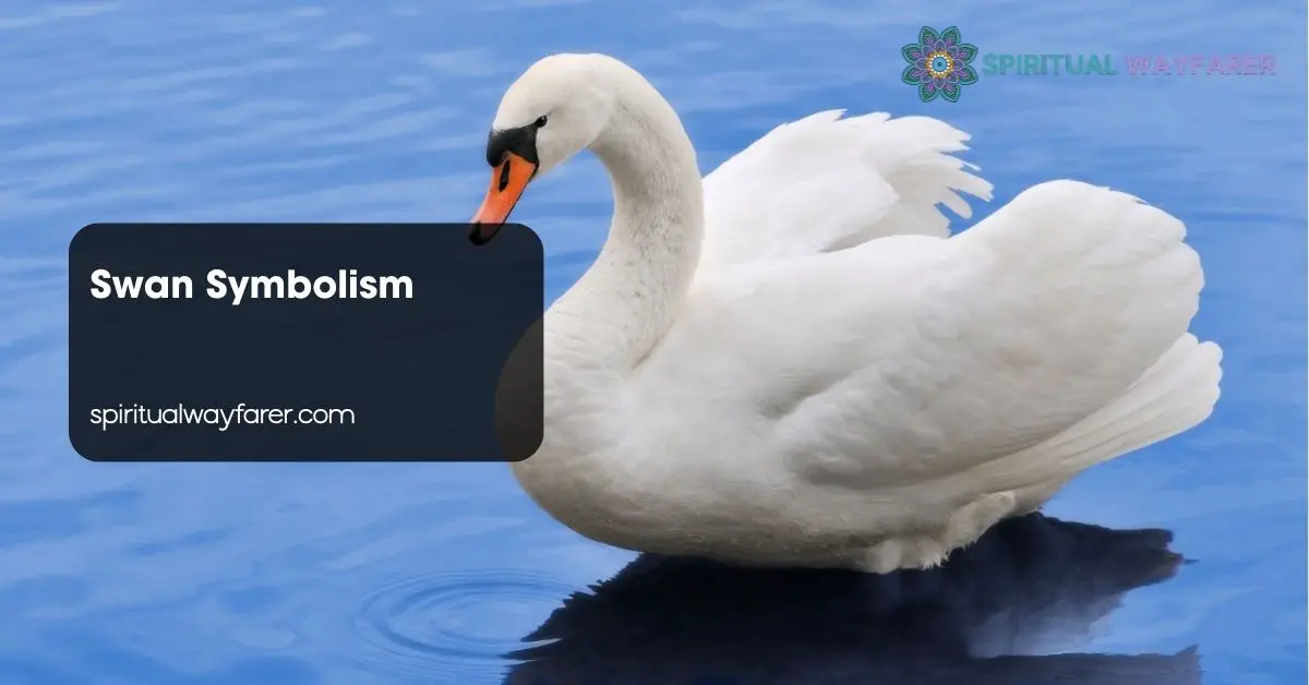 Swan Symbolism