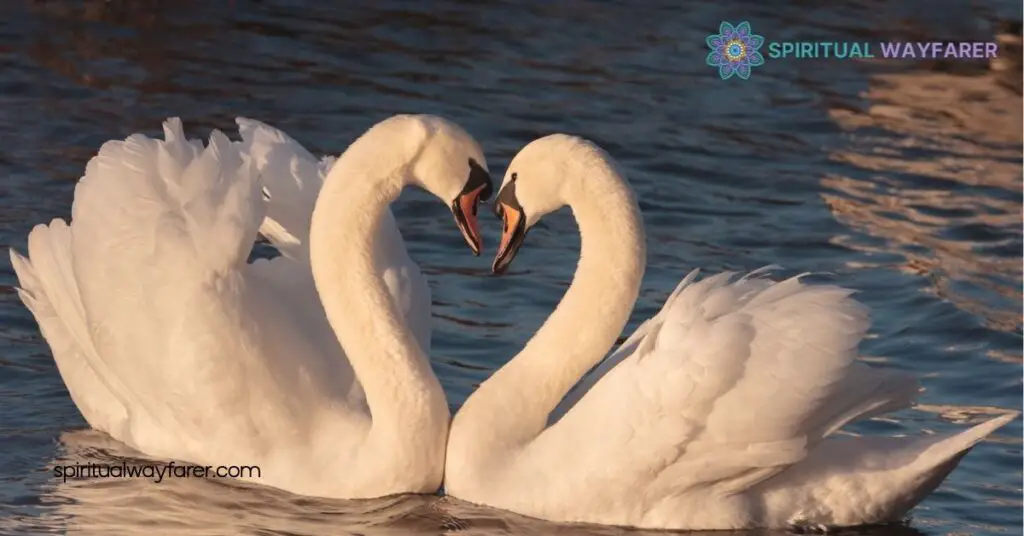 Swan Symbolism: Exploring Grace, Love, and Transformation Across Cultures 4 Swans in Modern Symbolism