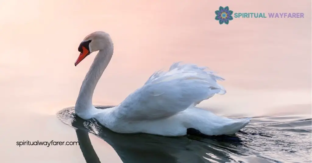 Swan Symbolism: Exploring Grace, Love, and Transformation Across Cultures 2 Swans in Mythology and Folklore
