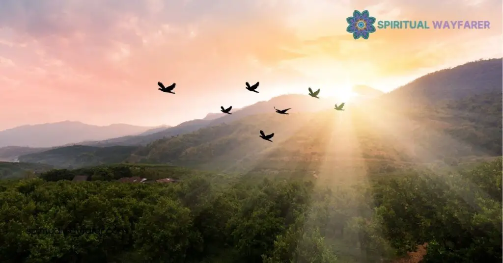 Unlock the Spiritual Meaning of Birds Flying: Insights for Your Journey 1 Symbolism Of Flying Birds