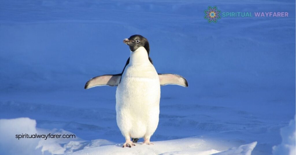 Penguin Power Animal: Harness Resilience and Teamwork from Nature’s Toughest Birds 2 Symbolism Of Penguins