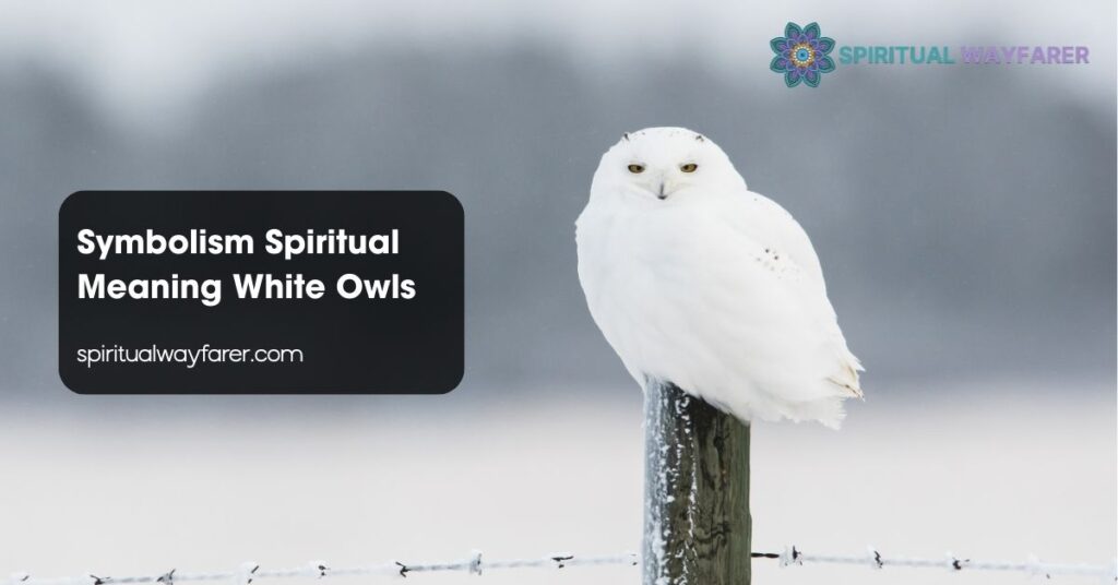 Symbolism Spiritual Meaning White Owls