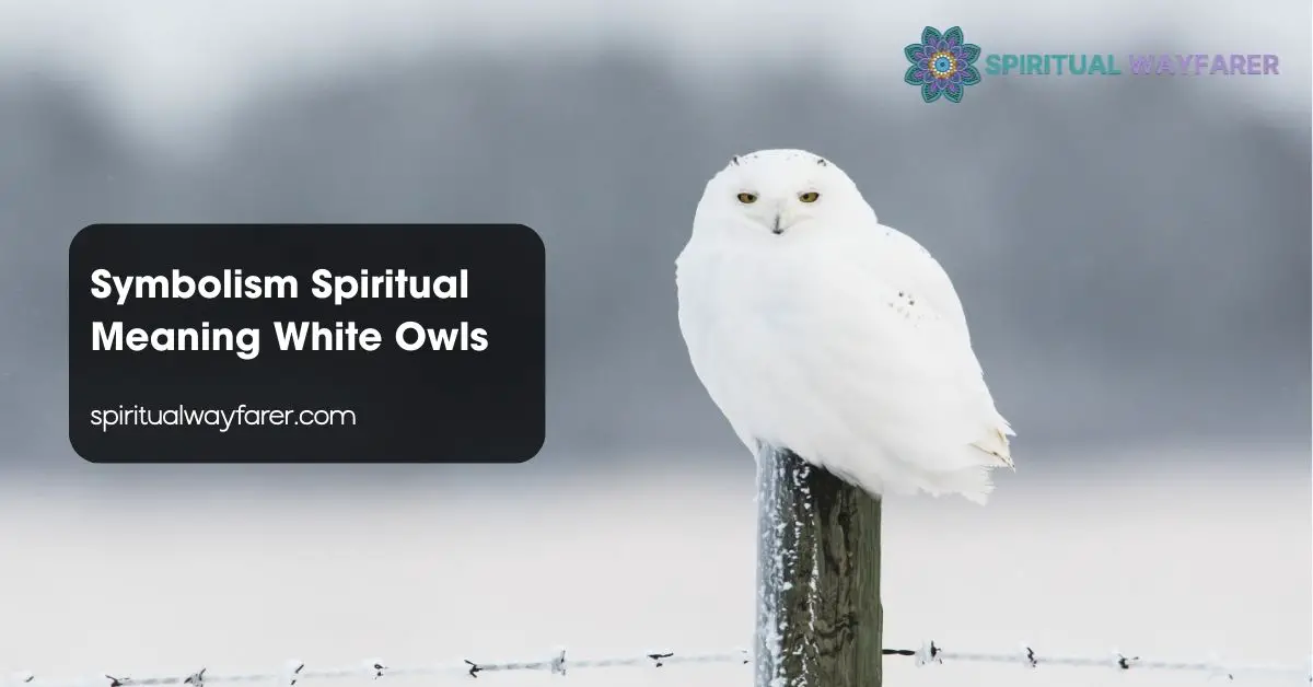Symbolism Spiritual Meaning White Owls