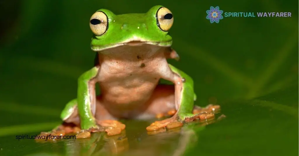 Frog Symbolism Explained: Discover Its Mystical Meaning Across Cultures 3 Symbolism in Literature and Art
