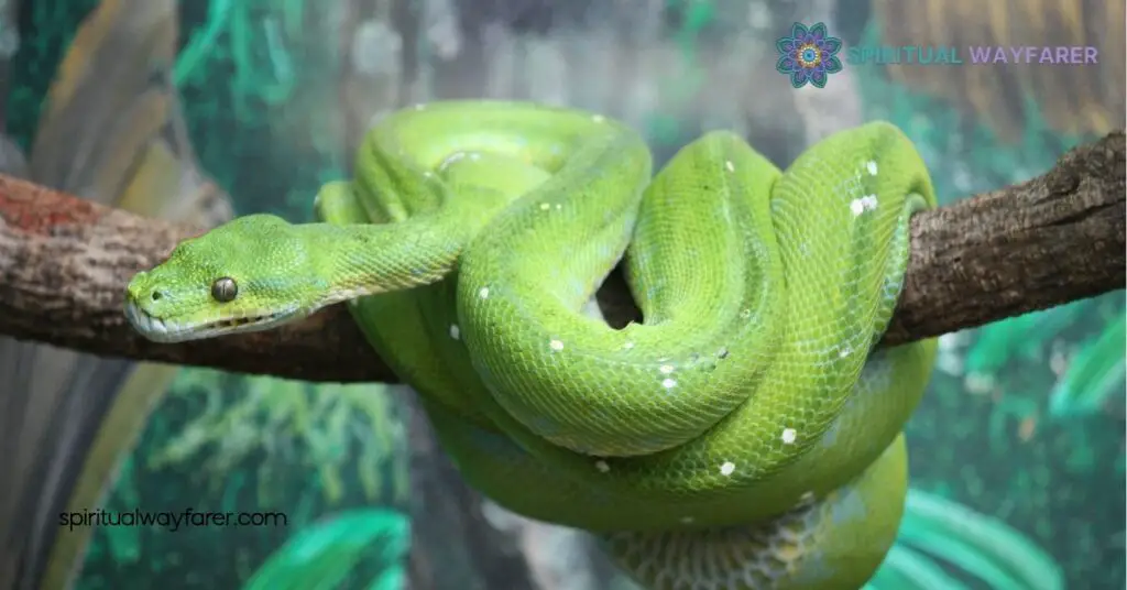 Understanding Snake Symbolism: History, Myths, and Spiritual Significance 3 Symbolism in Religion