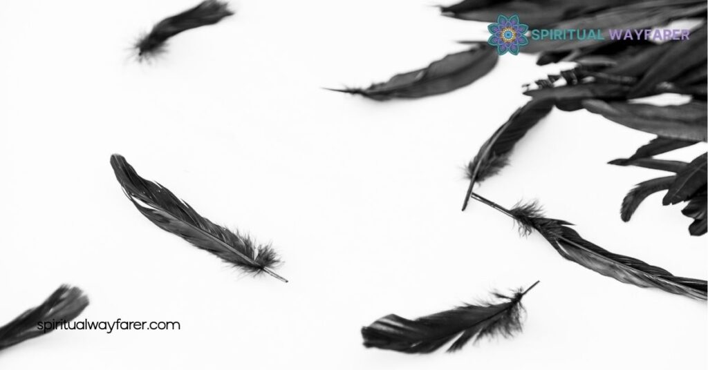 Black White Feather Symbolism Meanings: What They Really Represent 1 Symbolism of Black Feathers