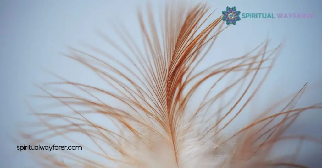 What Are Brown Feathers in the Bible? Uncovering Their Meaning and Significance 1 Symbolism of Brown Feathers in the Bible