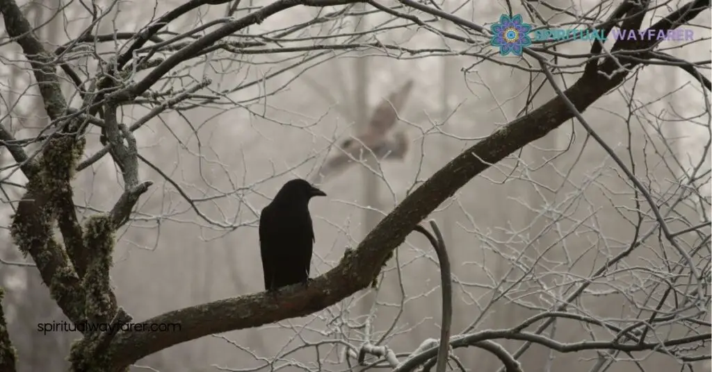 Crows Spiritual Meaning: What the Number of Crows Symbolizes 2 Symbolism of Crows in Different Cultures
