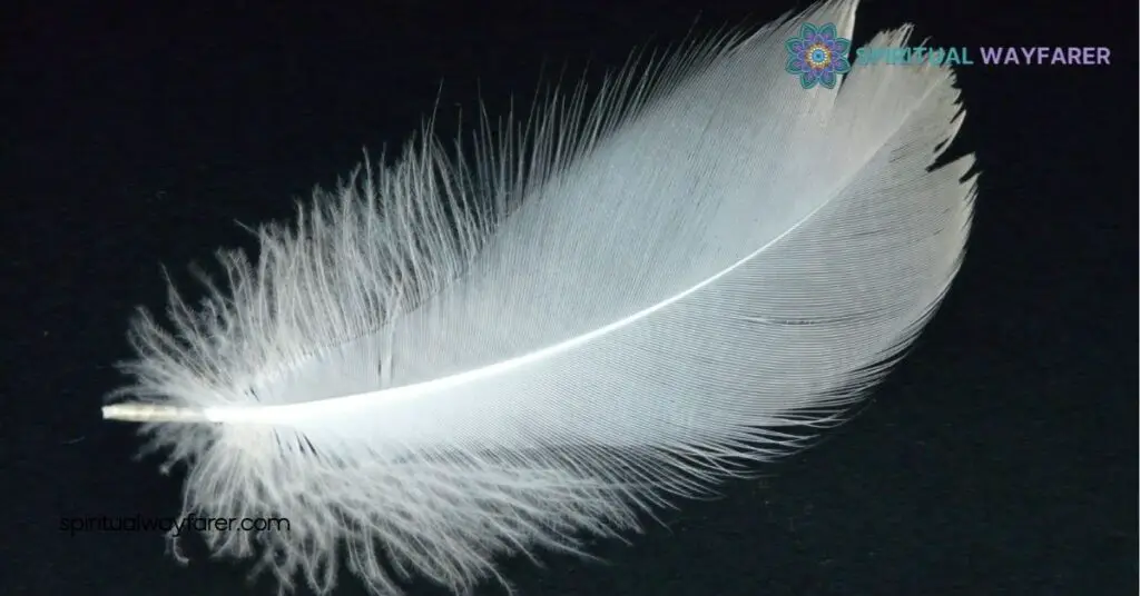 Dove Feather Meaning: Symbolism, History & Spiritual Significance 1 Symbolism of Dove Feathers