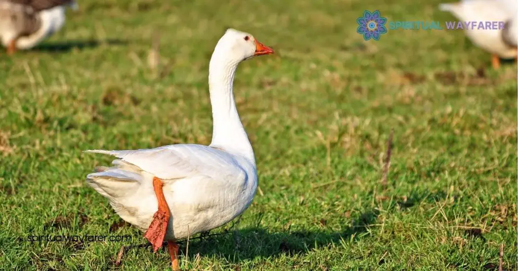 Unlocking Goose Symbolism: What These Birds Reveal About Loyalty and Culture 3 Symbolism of Geese in Literature and Art