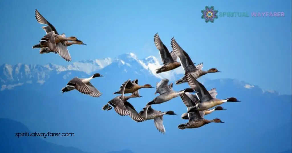 Spiritual Meaning Geese: Unlock Their Symbolism of Loyalty, Guidance & Resilience 1 Symbolism of Geese in Spirituality