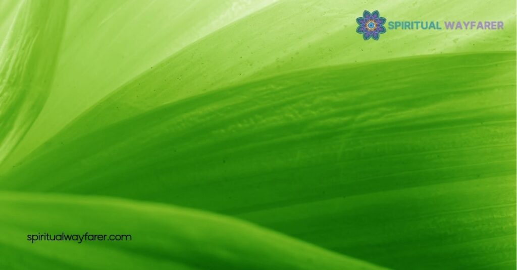 Spiritual Meaning of Green and Yellow: Unlock Growth & Harmony 2 Symbolism of Green in Spiritual Practices