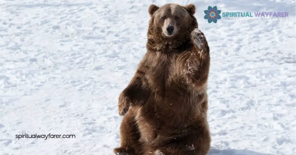 Grizzly Bear Dream Symbolism: Unveil the Hidden Messages in Your Dreams 2 Symbolism of Grizzly Bears