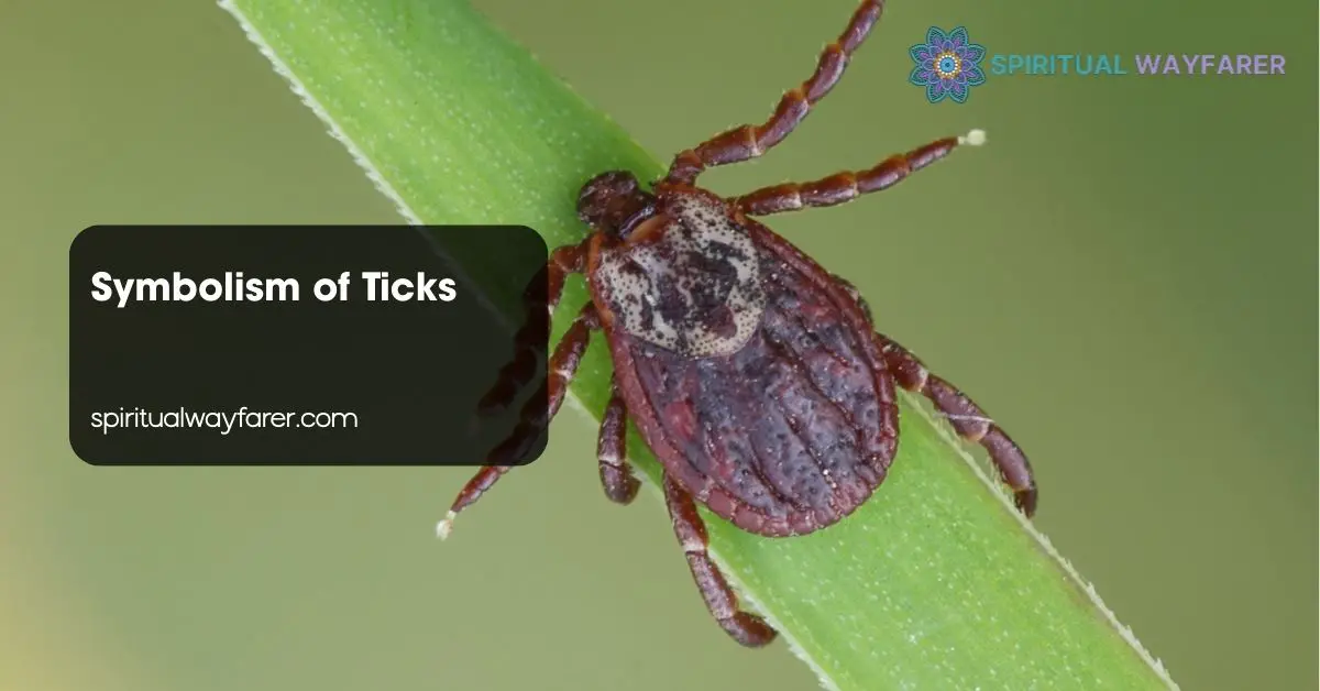 Symbolism of Ticks