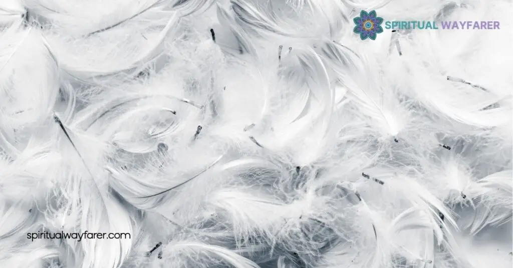 Black White Feather Symbolism Meanings: What They Really Represent 2 Symbolism of White Feathers