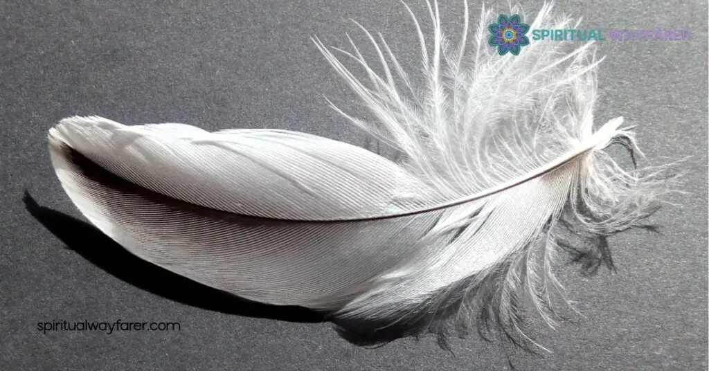 What Does a White Feather Mean in the Bible? Discover Its Spiritual Significance 2 Symbolism of White Feathers