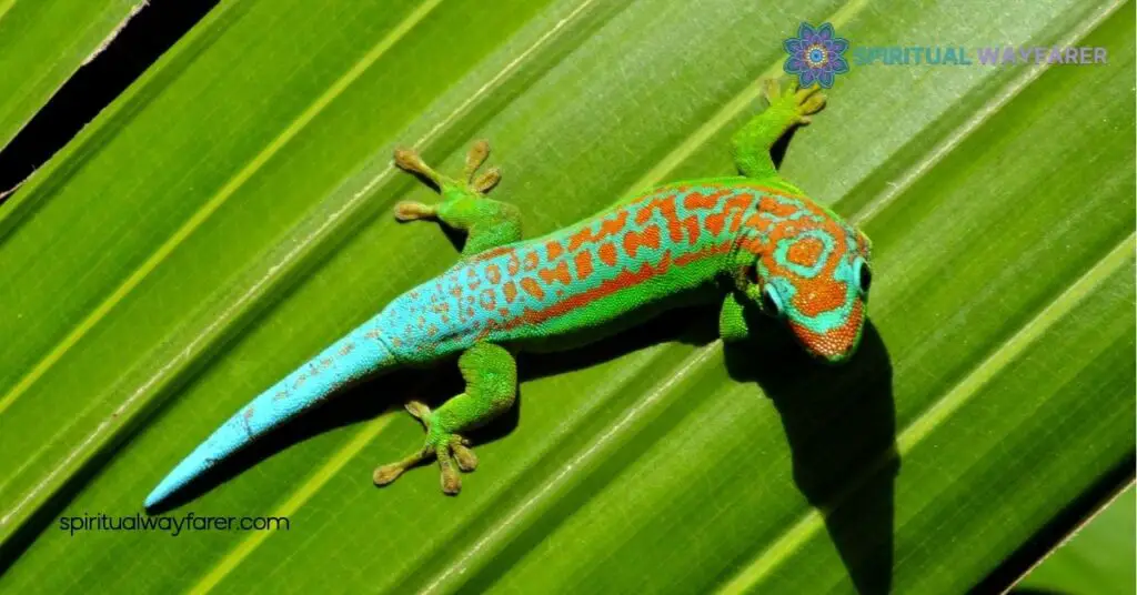 Unlocking the Lizard Spirit Animal Meaning: Transform Your Life with Resilience and Adaptability 2 Symbolism of the Lizard Spirit Animal