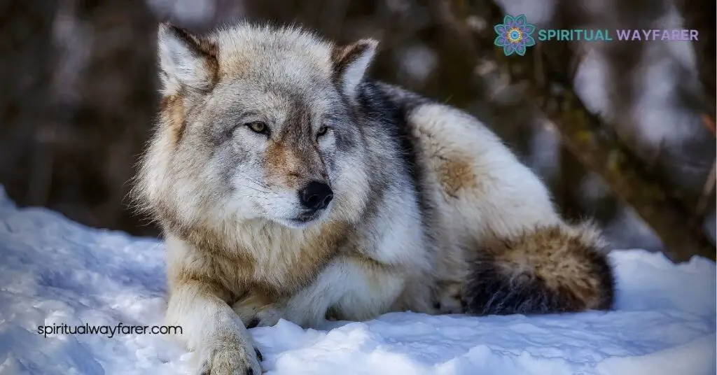 Discover Your Spirit Animal for January: Unlock Strength & Growth 2 The January Spirit Animal