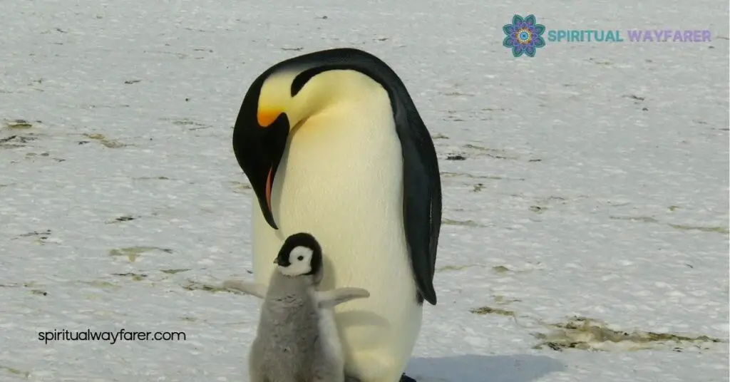 Uncovering Penguin Symbolism: What These Majestic Birds Teach Us About Resilience and Community 1 The Meaning Behind Penguin Symbolism