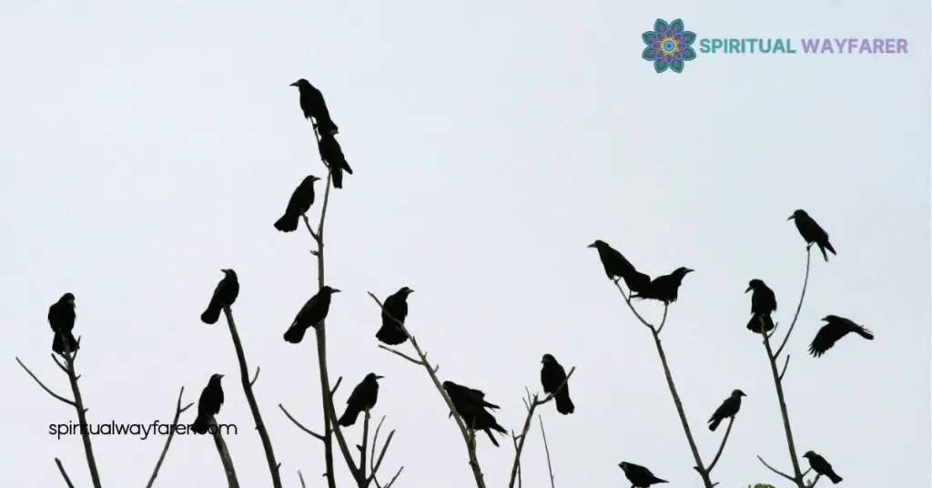 7 Crows Meaning Spiritual: Unlock the Symbolism and Transform Your Life 3 The Meaning of 7 Crows Spiritually