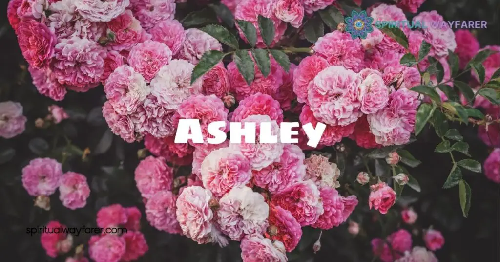 The Name Ashley Meaning Spiritually: Uncover Its Deep Symbolism and Significance 1 The Origin Of Ashley
