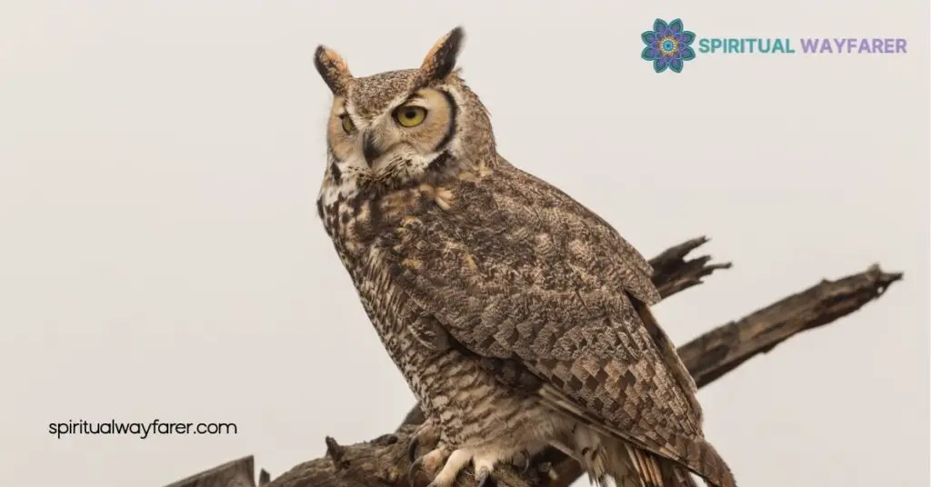 Spiritual Meaning Owl Bible: What Owls Represent in Scripture 4 The Owl as a Spiritual Messenger