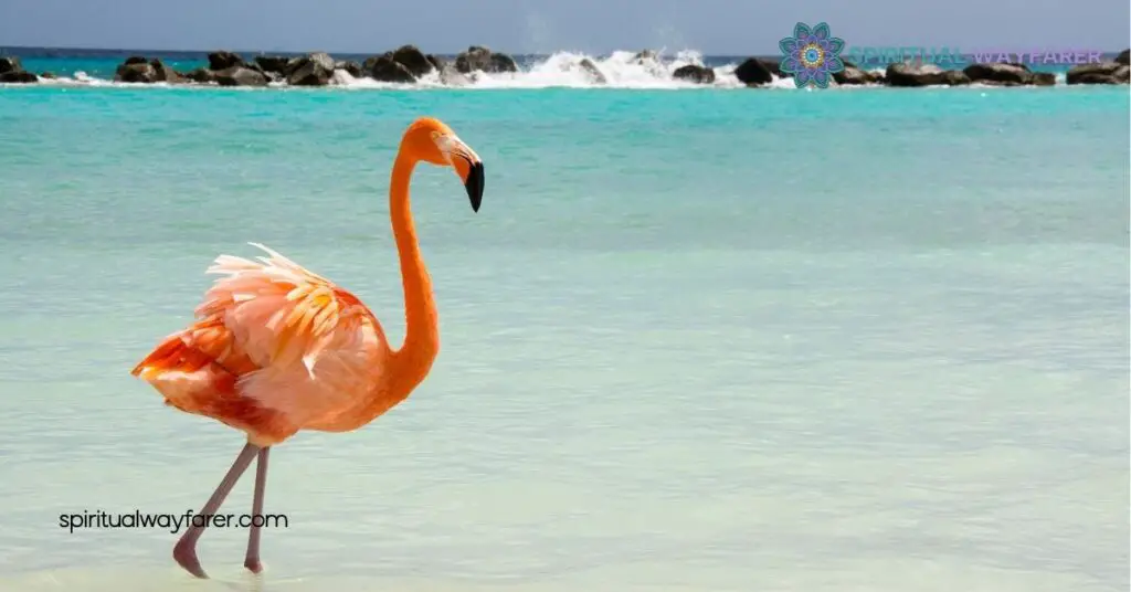 Unlock the Hidden Meanings: Exploring Flamingo Symbolism Across Cultures 4 The Psychological Meaning of Flamingo Symbolism