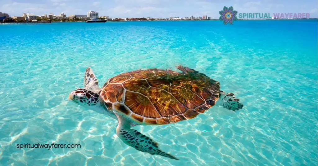 Unlock the Mysteries of Turtle Symbolism: Wisdom, Longevity & More 3 The Psychological Meaning of Turtle Symbolism