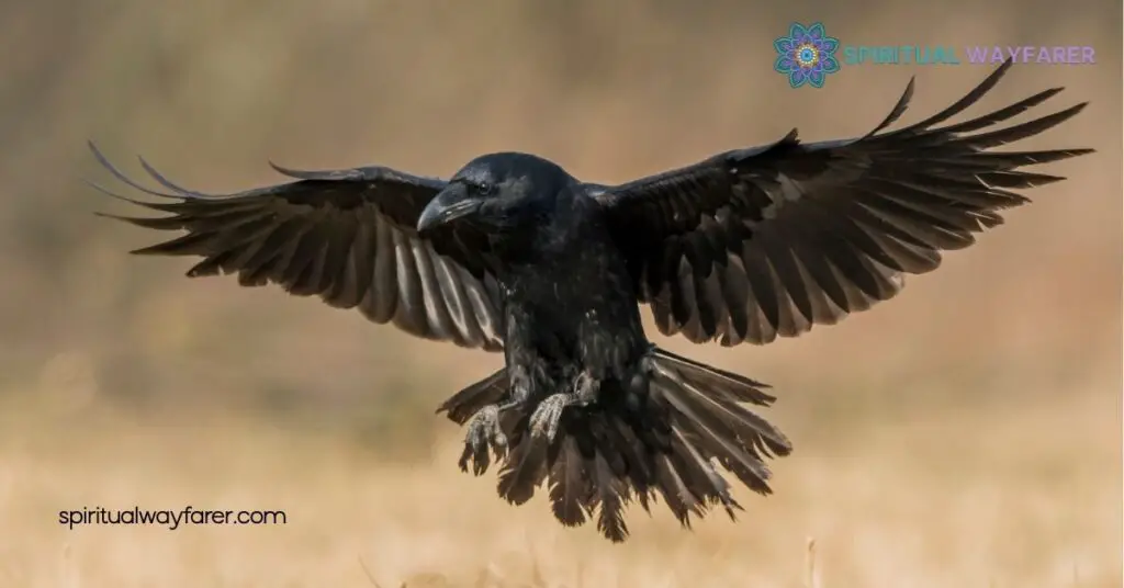 The Significance Of Ravens In Mythology