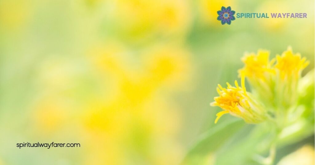 Spiritual Meaning of Green and Yellow: Unlock Growth & Harmony 1 The Significance of Green Yellow in Spirituality