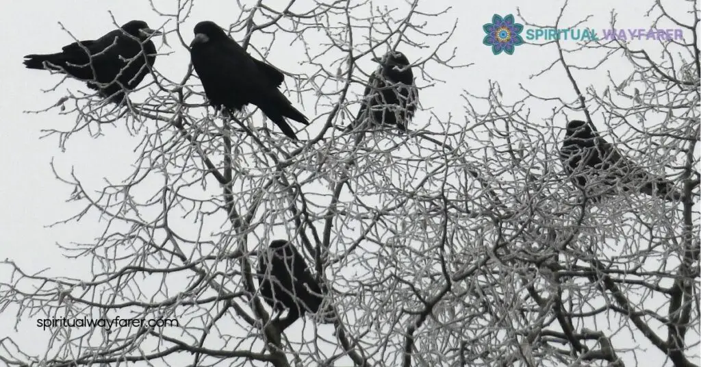 7 Crows Meaning Spiritual: Unlock the Symbolism and Transform Your Life 2 The Significance of the Number Seven