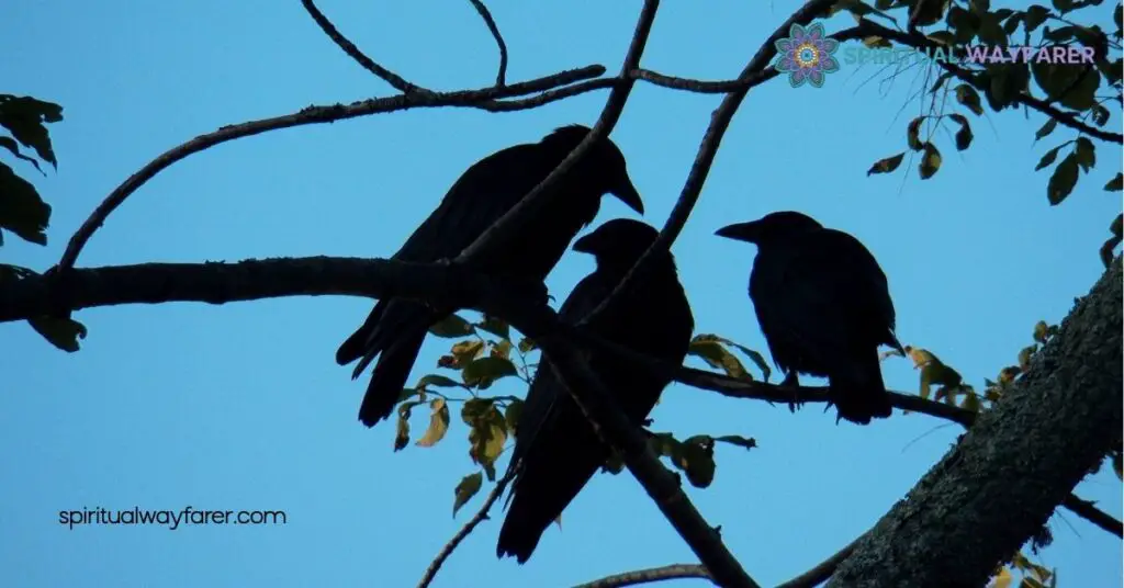 Unlocking the Spiritual Meaning of Seeing 3 Crows: What It Reveals About Your Journey 2 The Significance of the Number Three
