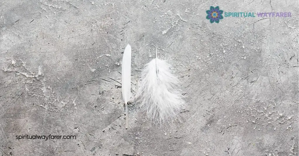 Grey and White Feather Spiritual Meaning: Unlocking Messages from the Universe 3 The Spiritual Meaning of White Feathers