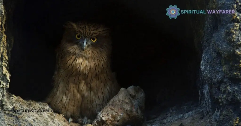 The Spiritual Meaning of Owl Hooting at Night: Unlock Hidden Messages 1 The Spiritual Significance of Owls