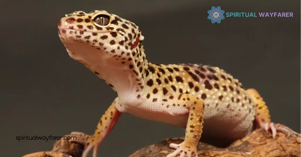Unlock the Spiritual Meaning of Gecko: Protection, Adaptability & Personal Growth 1 The Spiritual Symbolism of Geckos