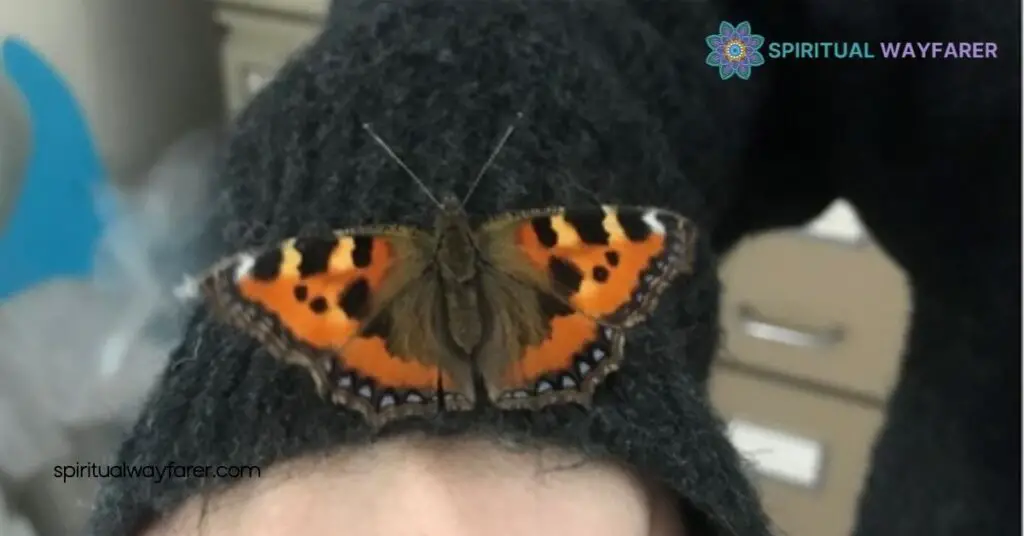 Discover the Butterfly Your House Spiritual Meaning: Transform Your Home’s Energy 1 The Symbolism Of Butterflies In Your Home