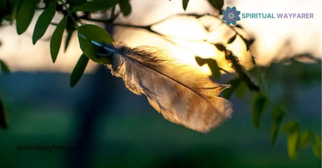 Brown Feather Meaning Love: Discover the Secret to Lasting Relationships 1 The Symbolism of Brown Feathers