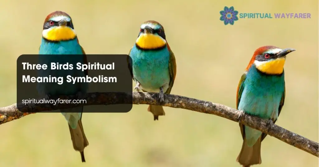 Three Birds Spiritual Meaning Symbolism