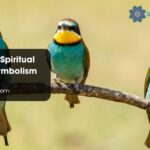 Three Birds Spiritual Meaning Symbolism