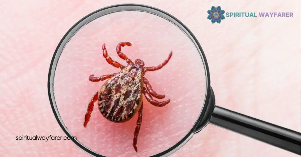 Understanding the Symbolism of Ticks: From Persistence to Hidden Dangers 4 Ticks in Popular Culture
