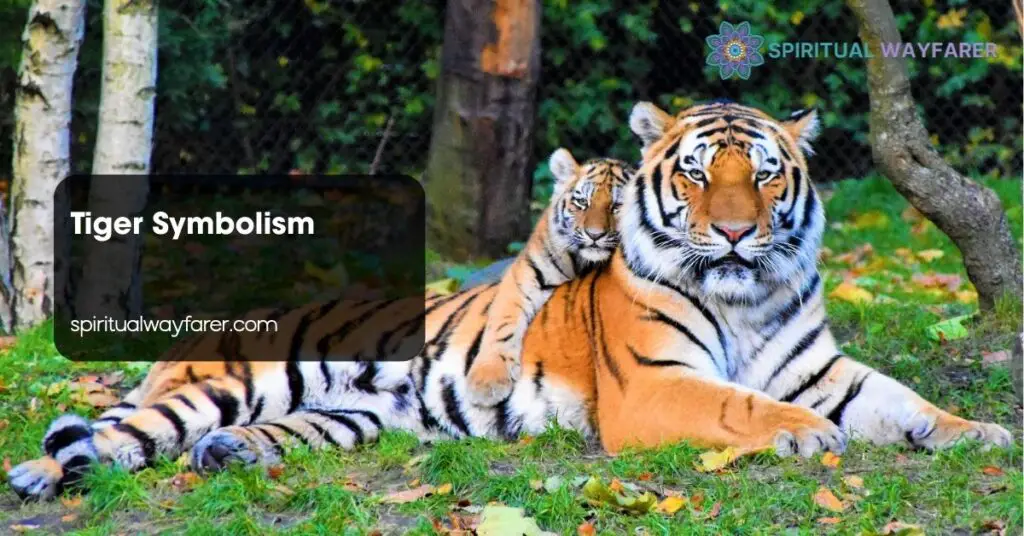 Tiger Symbolism