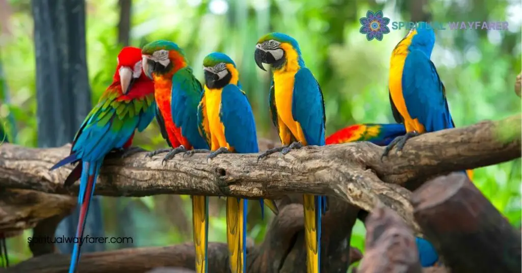 Top 10 Animals That Symbolize Friendship and Inspire Your Relationships 2 Top Animals That Symbolize Friendship
