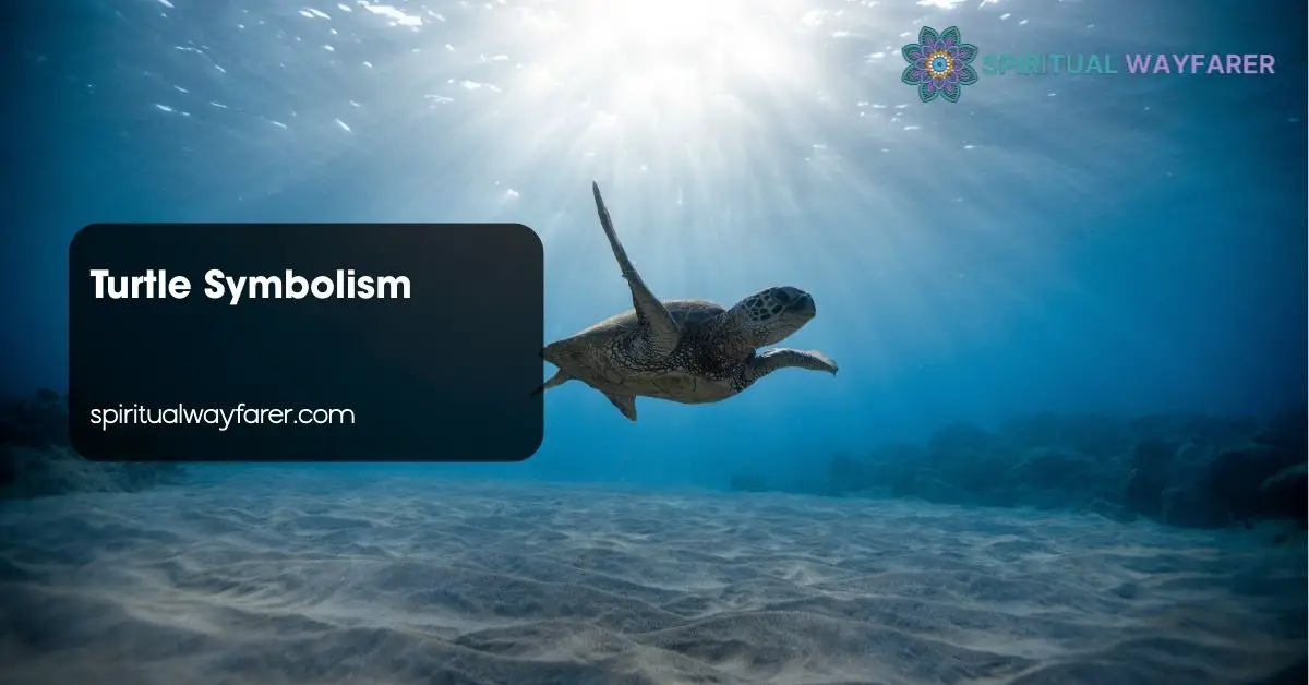 Turtle Symbolism