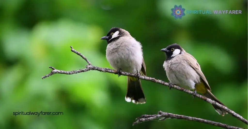 What Does It Mean When a Bird Hits Your Window and Flies Away? Find Out Here 1 Understanding Bird Behavior