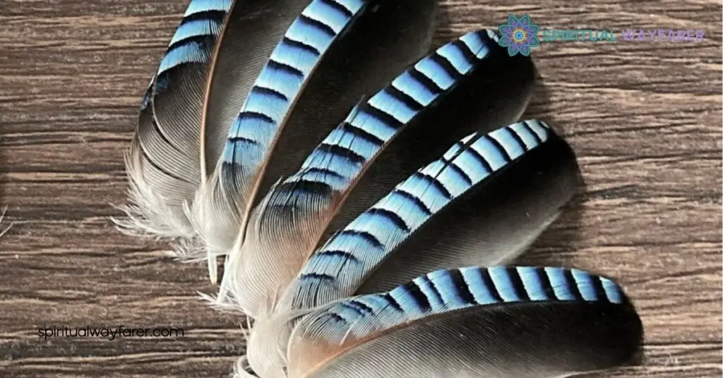 Blue Jay Feather Meaning Love: Unlocking Symbols of Loyalty and Connection 1 Understanding Blue Jay Feathers