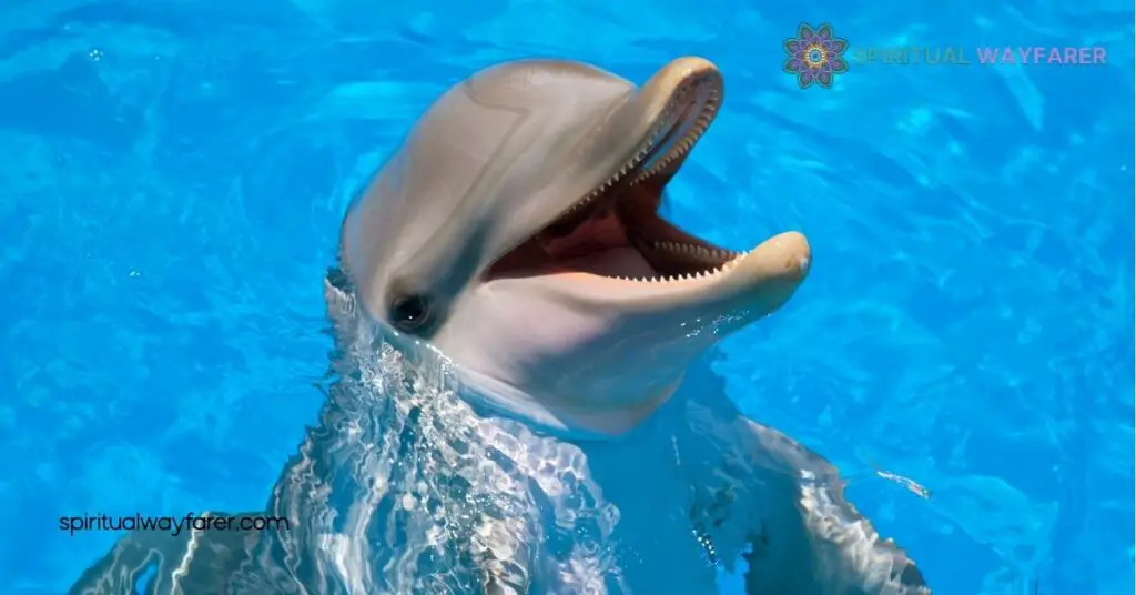 Dolphin Symbolism: Discover Their Meanings, Myths, and Cultural Significance 1 Understanding Dolphin Symbolism