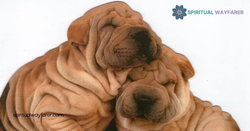Top 10 Animals That Symbolize Friendship and Inspire Your Relationships 1 Understanding Friendship Symbolism