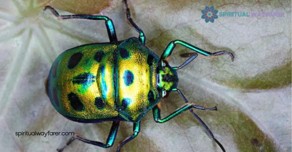 Golden Beetles Spiritual Meaning: Embrace Transformation and Prosperity 1 Understanding Golden Beetles