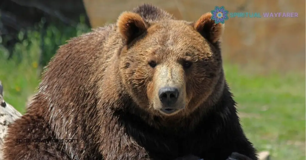 Grizzly Bear Dream Symbolism: Unveil the Hidden Messages in Your Dreams 1 Understanding Grizzly Bear Dream Symbolism