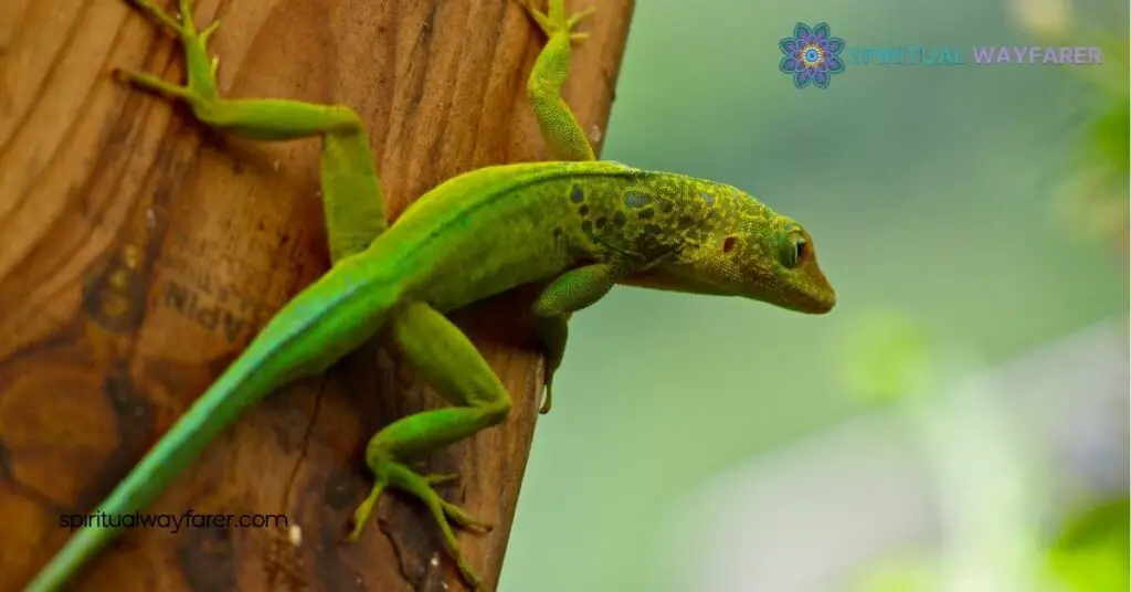 Discover Lizard Symbolism: Resilience & Transformation Across Cultures 1 Understanding Lizard Symbolism